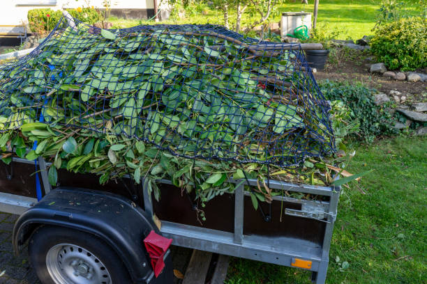 Best Hoarding Cleanup  in Exandria, AL